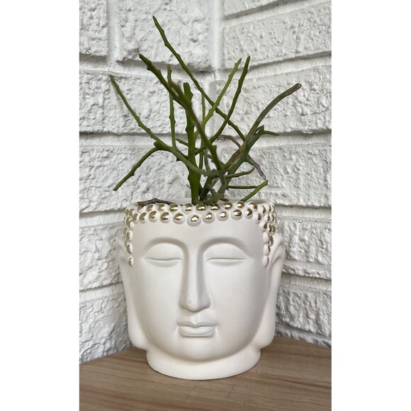 Buddha Head Face Concrete Planter Flower Pot White Gold Hobnail Textured Figural - Picture 1 of 14